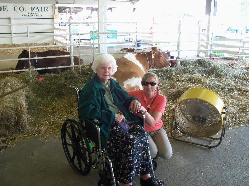 An elderly person in a wheelchair and another person posing by cows inside a farm setting.