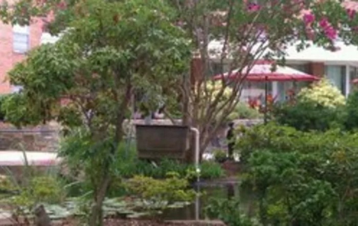 Fairfax Rehabilitation And Nursing Center