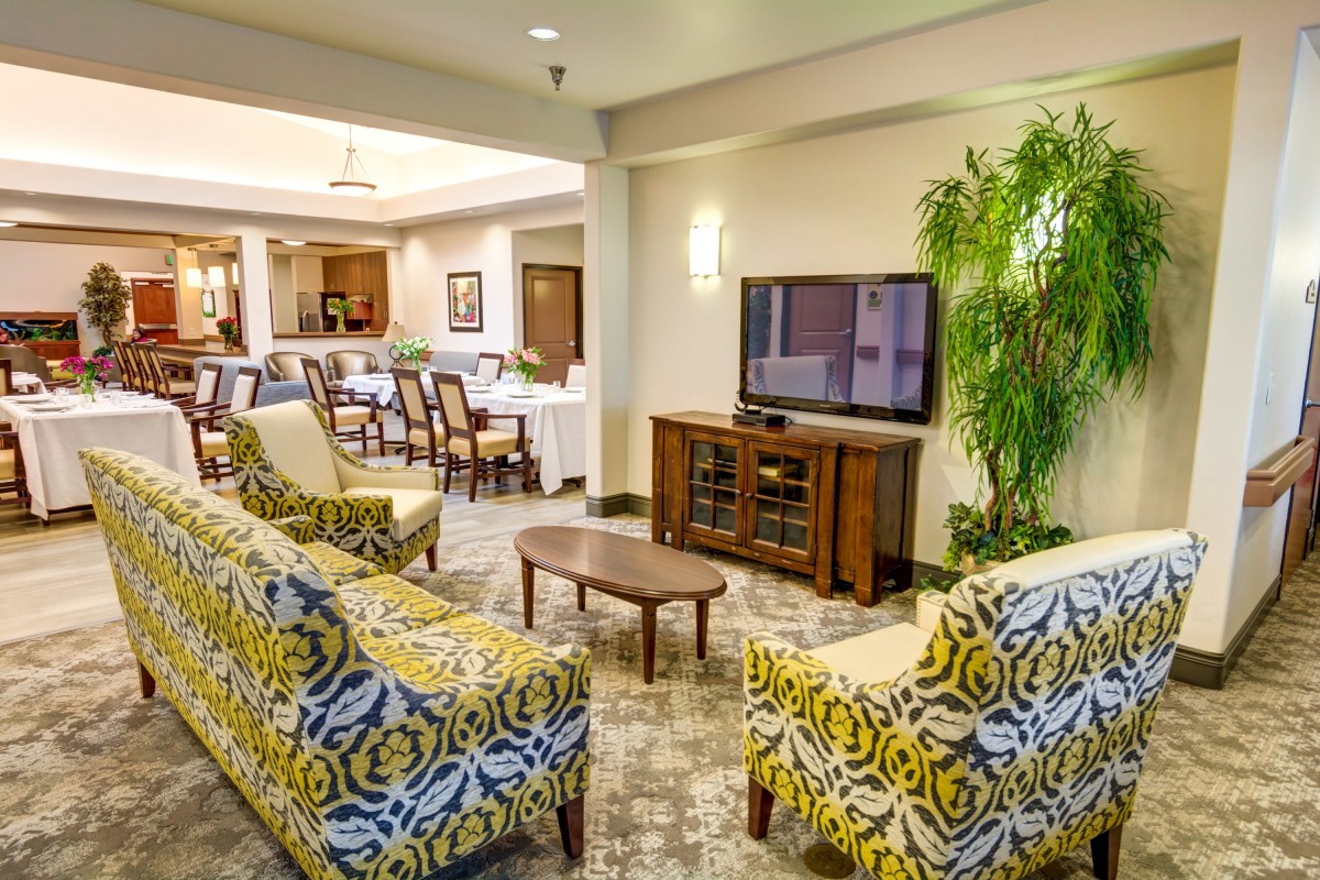 A modern living room with patterned armchairs, a TV, and decorative plants.