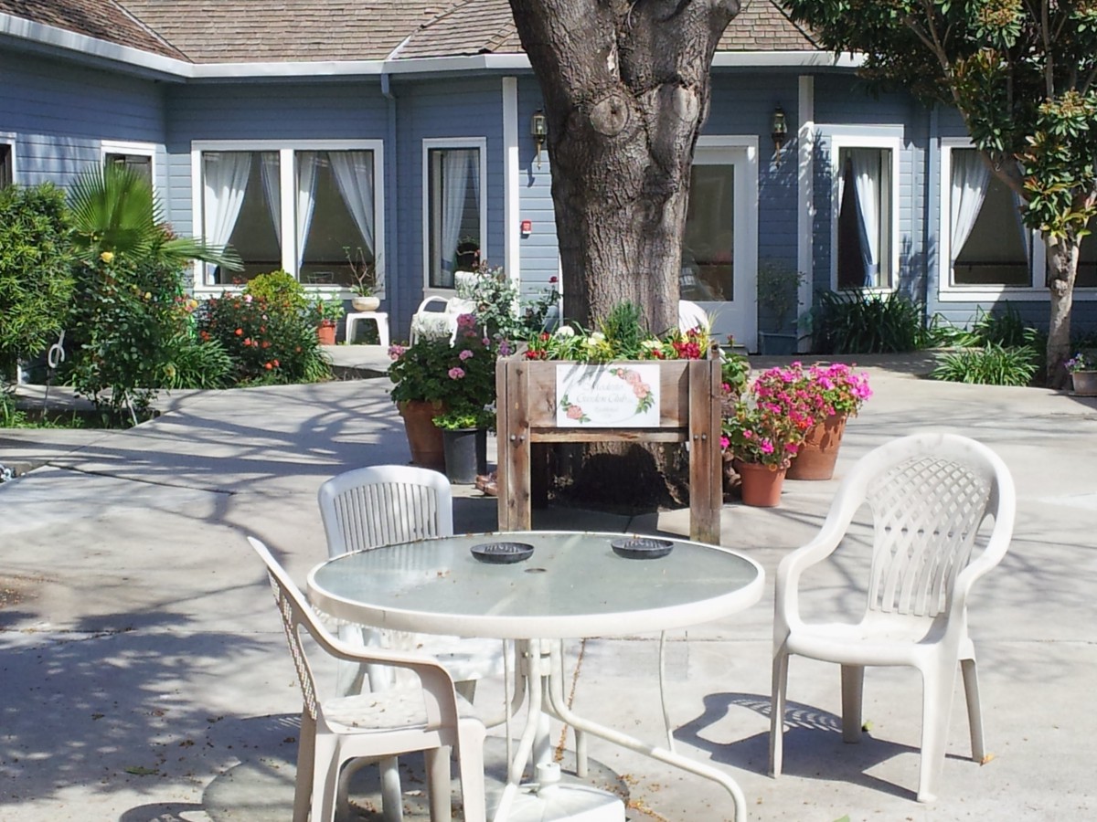 A tranquil patio area with a glass table and chairs surrounded by lush plants and a light blue house in the background.