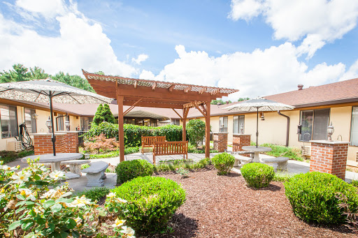 A serene outdoor garden area featuring a pergola, benches, and lush greenery under a bright blue sky.