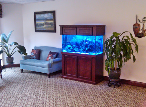 A cozy living space featuring a beautifully lit aquarium, a comfortable blue sofa, and a decorative plant.