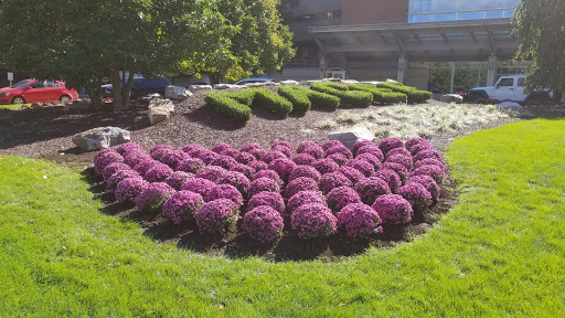 A beautifully arranged garden featuring vibrant purple flowers and neatly trimmed bushes.