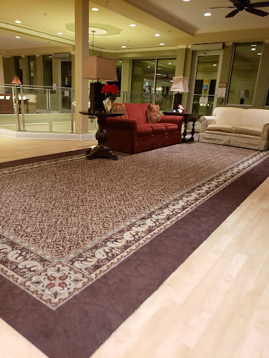 A cozy living room setup featuring a decorative rug and comfortable seating.