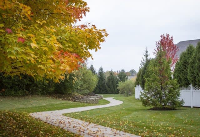 A winding pathway through a vibrant autumn landscape with colorful trees.