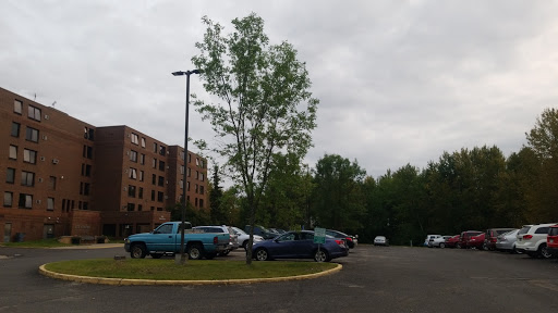 A view of a parking lot with various vehicles, surrounded by greenery and an apartment building under a cloudy sky.