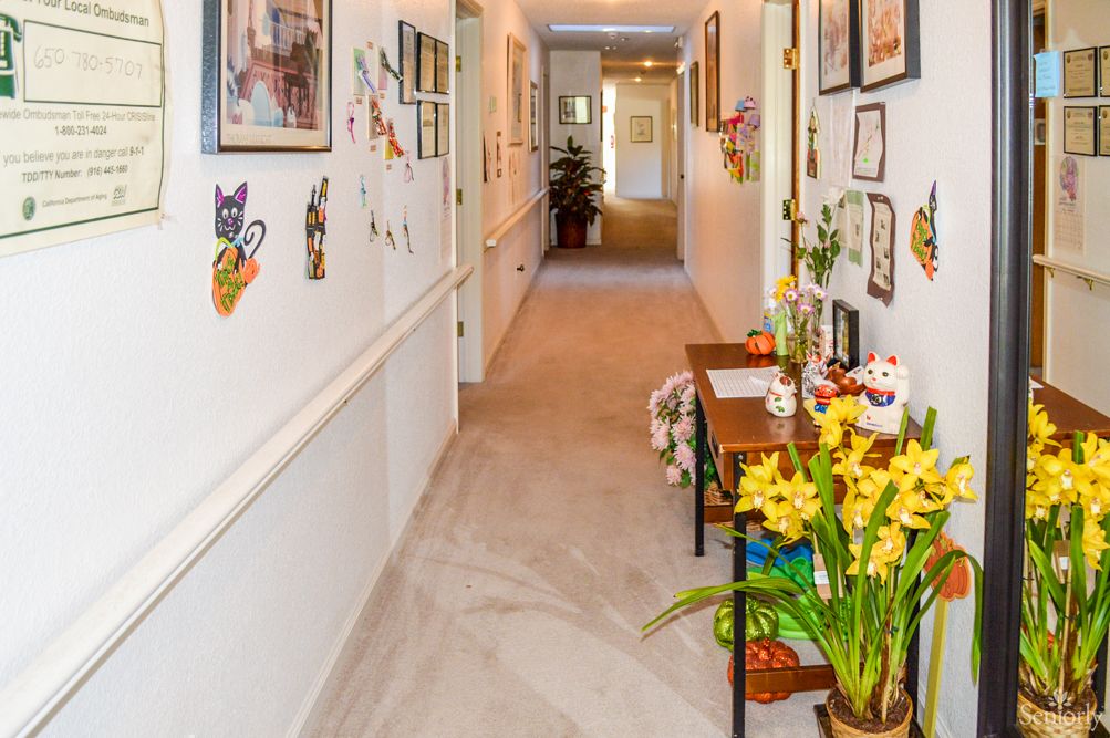A warmly decorated hallway featuring artwork and plants.