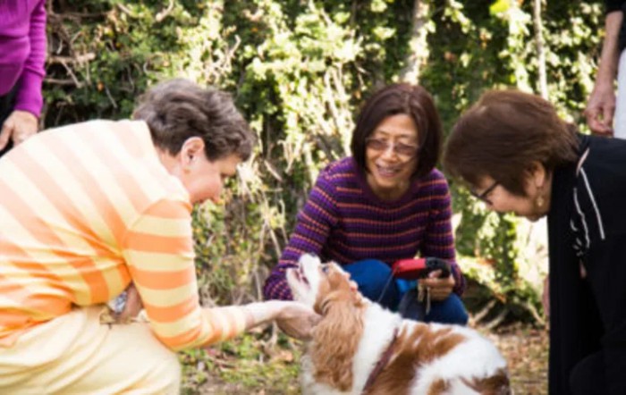 Three people happily interacting with a dog outdoors in a natural setting.