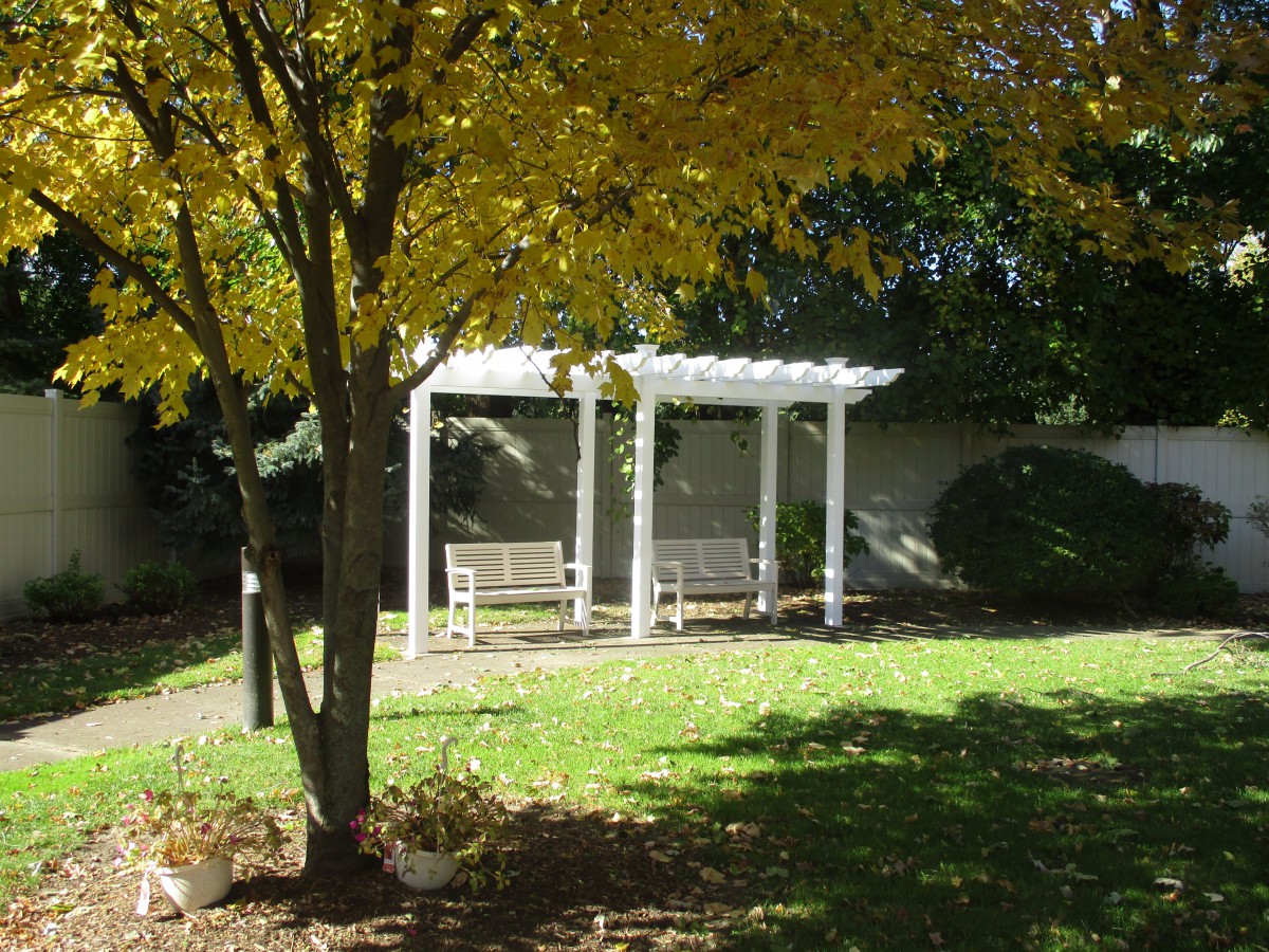 A peaceful park setting with a white pergola and benches under the shade of a tree.