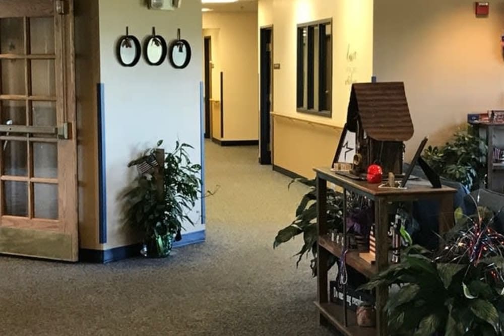 A well-decorated office hallway with plants and a wooden shelf.