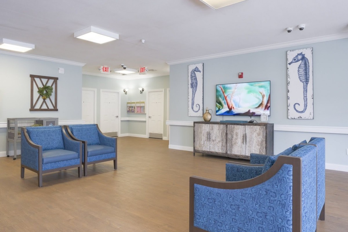 A modern waiting room with blue chairs and a television, featuring decorative wall art and wood flooring.