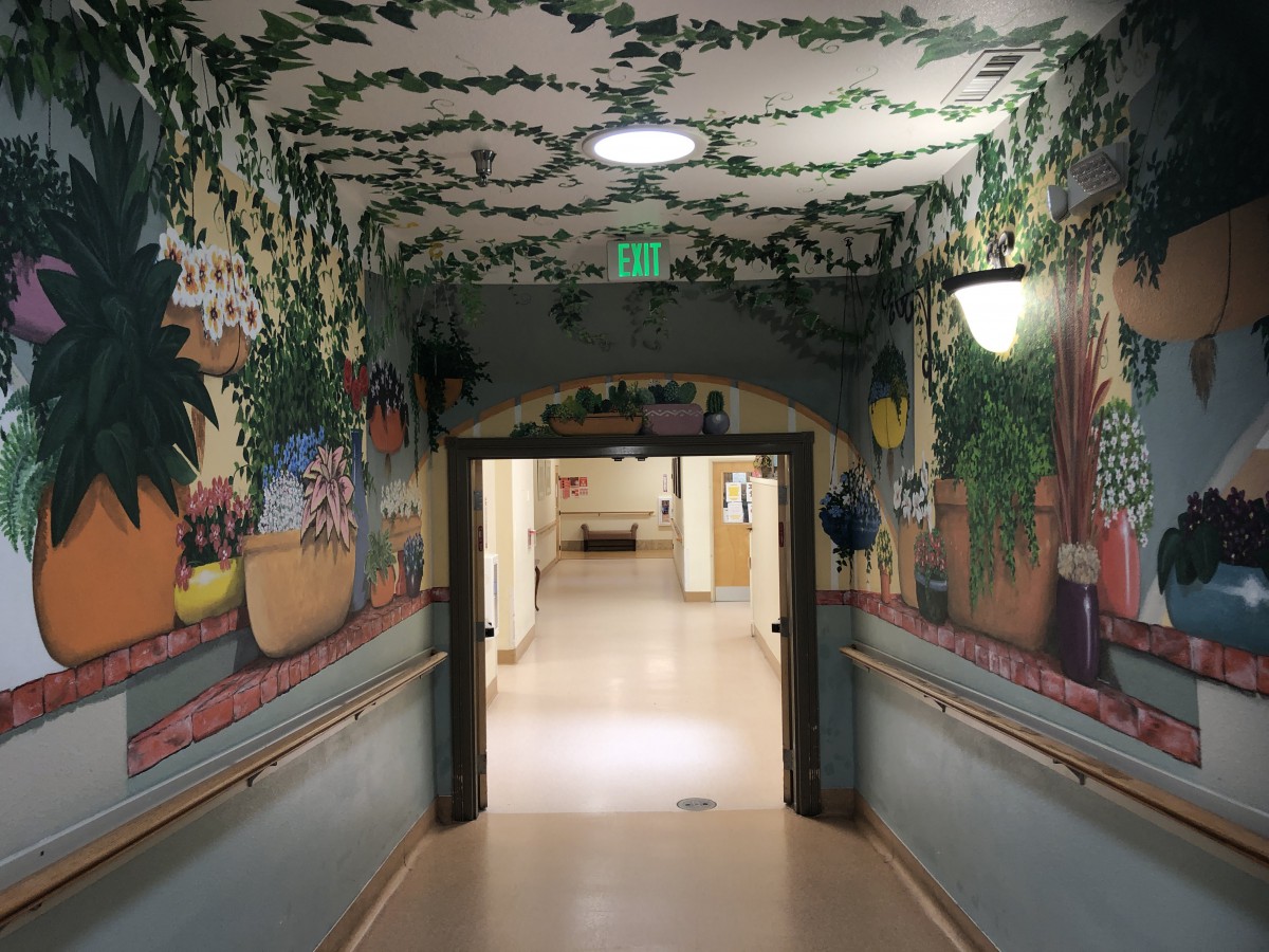 A hospital corridor adorned with vibrant murals and decorative ceilings.