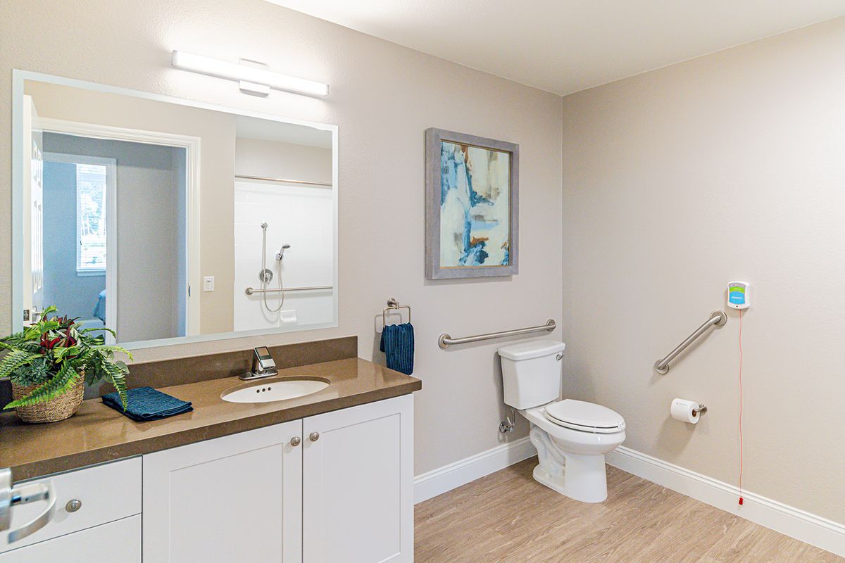 Modern accessible bathroom with grab bars and a clean design.