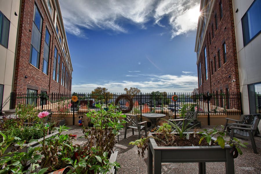 A rooftop garden nestled between two brick buildings under a clear blue sky.