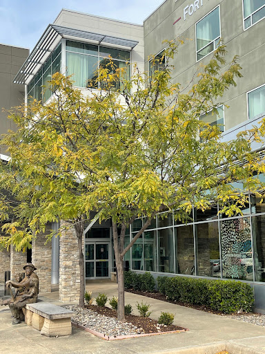 A contemporary building with large windows, surrounded by a vibrant green tree and a sculpture.