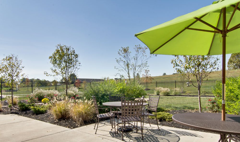 A sunny patio with a table, chairs, and a green umbrella overlooking a landscaped yard.