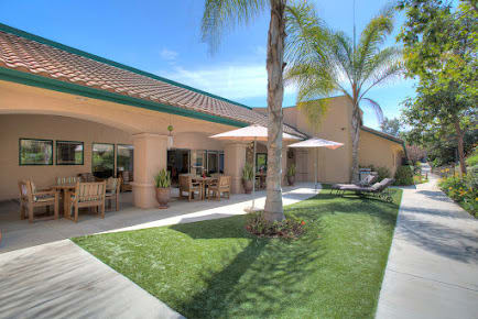 A sunny outdoor patio area with palm trees and seating.