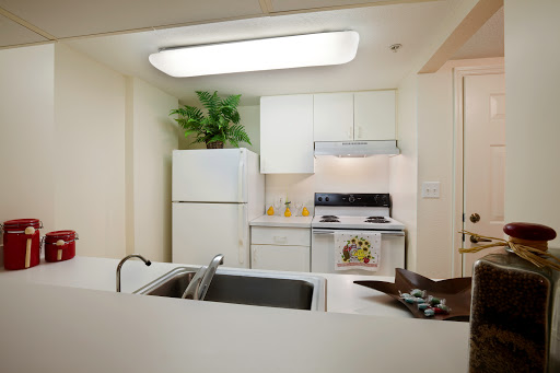 A modern kitchen featuring essential appliances, sleek countertops, and a touch of greenery.