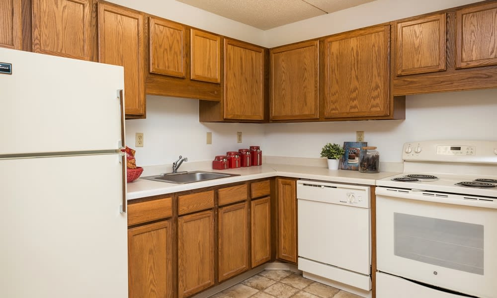 A cozy kitchen with wooden cabinets, a dishwasher, refrigerator, and well-organized countertop decor.