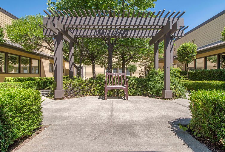 A peaceful garden area featuring a wooden pergola and bench surrounded by lush greenery and trees.