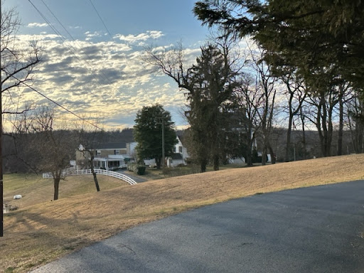 A serene view of a winding road lined with trees, leading to a house under a cloudy sky.