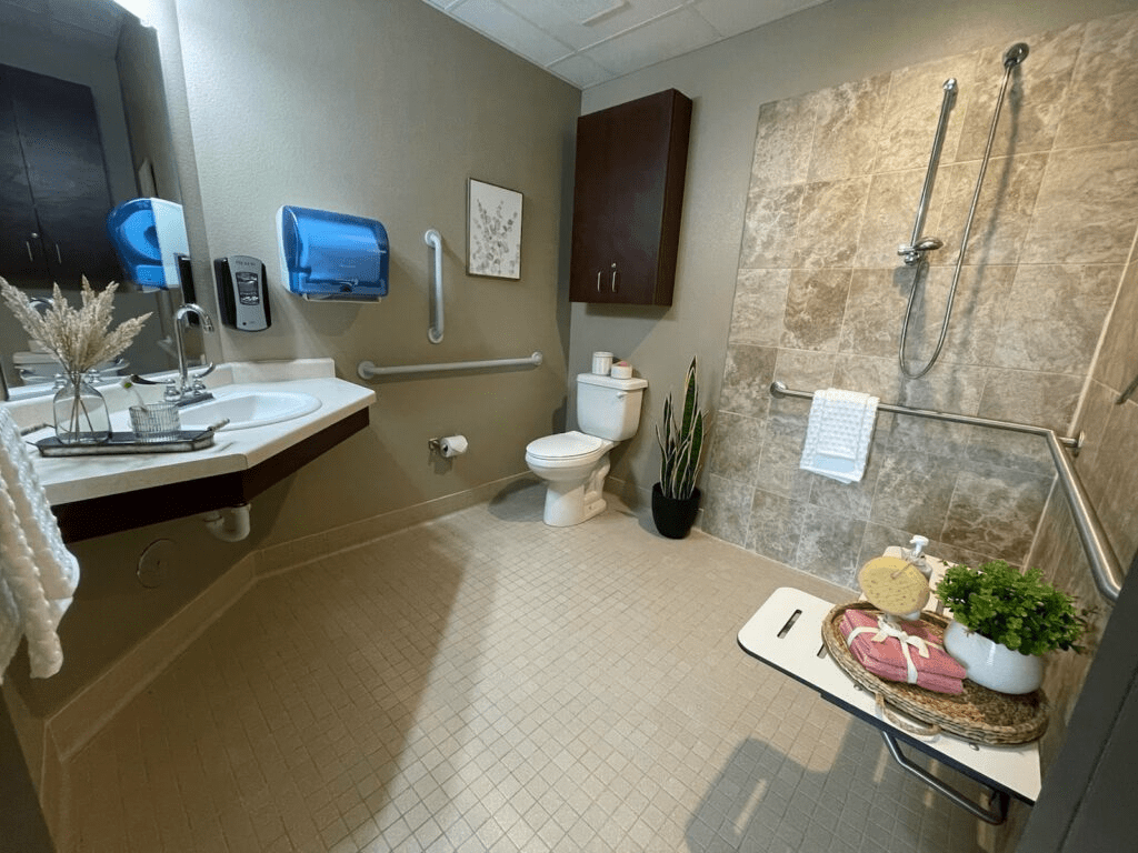 A modern, accessible bathroom with a toilet, sink, and shower equipped with handrails.