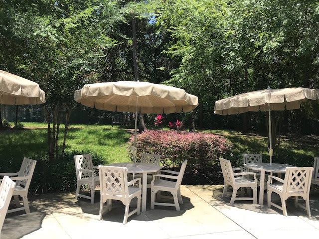 A sunny outdoor patio area with tables, chairs, and umbrellas surrounded by greenery.
