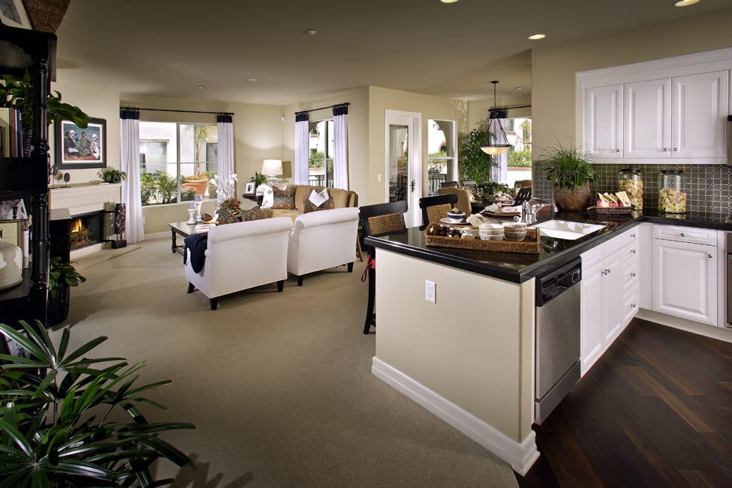 A modern living room and kitchen with an open-concept design featuring stylish furnishings and dcor.