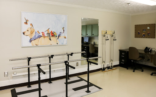 A rehabilitation therapy room featuring a ballet bar, exercise equipment, and a serene artwork.