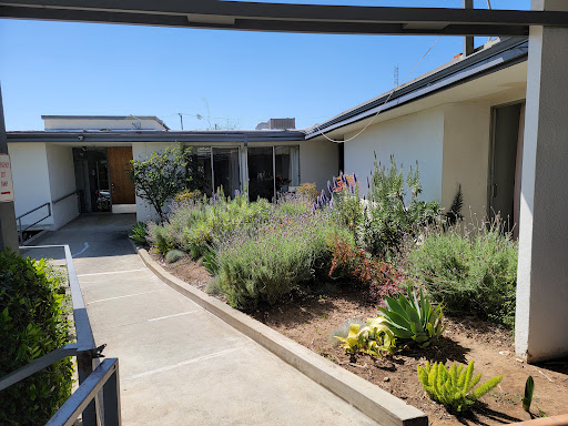 A serene outdoor space featuring a well-maintained garden and pathway leading to a residential building.