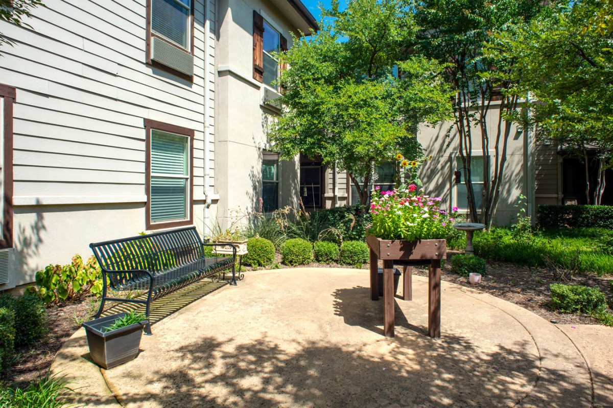 A sunny courtyard garden with a bench and lush greenery.