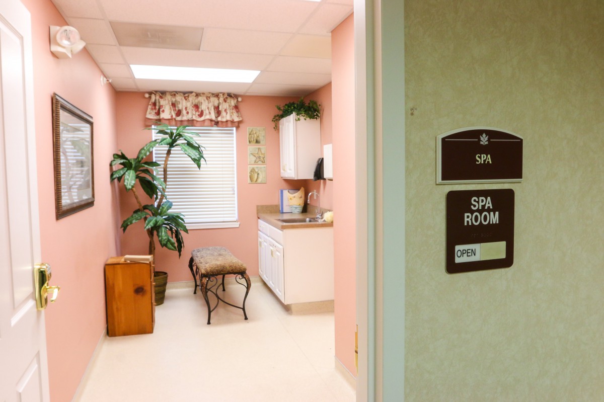 A cozy spa room with pink walls, featuring a decorative plant and natural lighting.