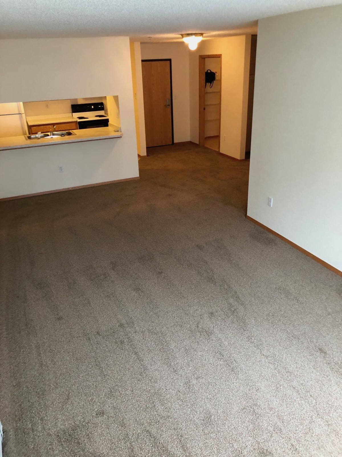 An empty apartment room with carpet flooring and a view into the kitchen area.