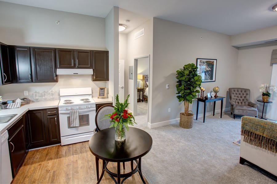 A modern apartment interior featuring a cozy kitchen and living area with stylish furniture and decorative plants.