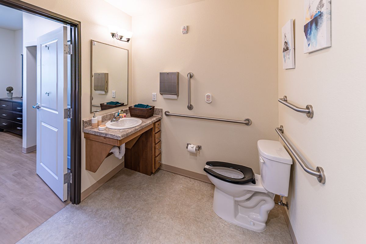 A modern, accessible bathroom with grab bars and a wide sink area.