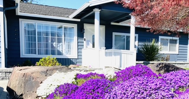 A charming house with a beautifully landscaped garden featuring vibrant purple flowers.