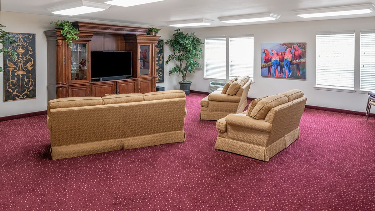 A comfortable living room with beige sofas and armchairs facing a large television, surrounded by an entertainment center. The room is carpeted in red and features a large indoor plant and wall artwork.