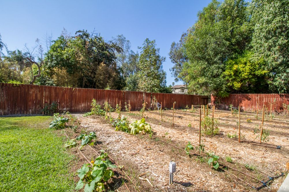 A vibrant vegetable garden with rows of plants and a wooden fence under a clear blue sky.