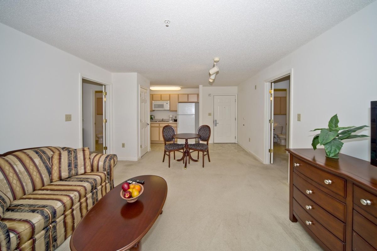 A cozy apartment interior featuring a living room with a sofa and coffee table, adjacent to a dining area and kitchen.