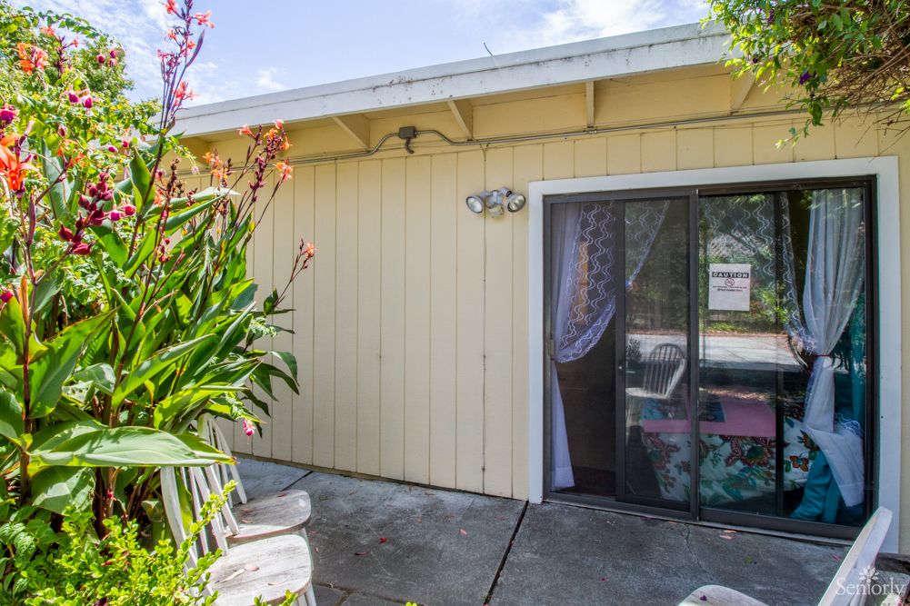 A backyard patio with potted plants and a sliding glass door leading into the house.