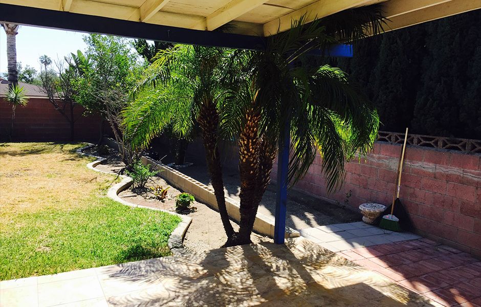 A sunny backyard with palm trees and a garden area.