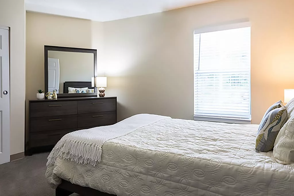 A neatly made bed in a well-lit bedroom with a dresser and mirror.