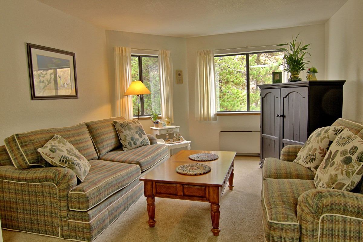 Cozy living room with a comfortable couch, coffee table, and natural light.