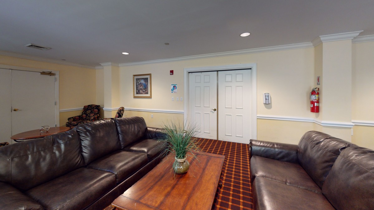 A cozy living room with leather sofas, a wooden coffee table, and a decorative plant.