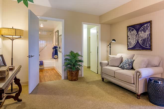 A cozy living room with a sofa, potted plant, and an open door leading to another room.