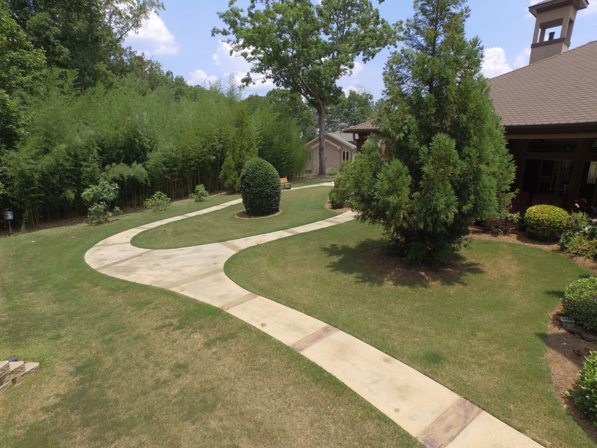 A scenic garden with a winding pathway surrounded by lush greenery and trees.