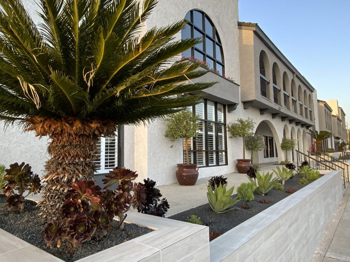 A modern building with large windows and landscaped surroundings featuring palm trees.