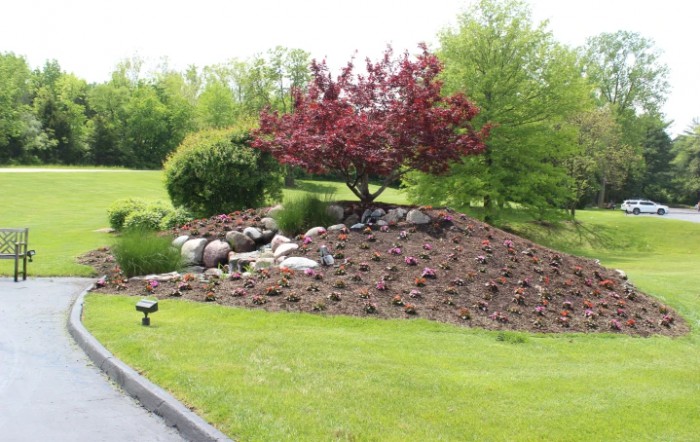 A landscaped garden area featuring a decorative tree, surrounded by mulch and rocks.