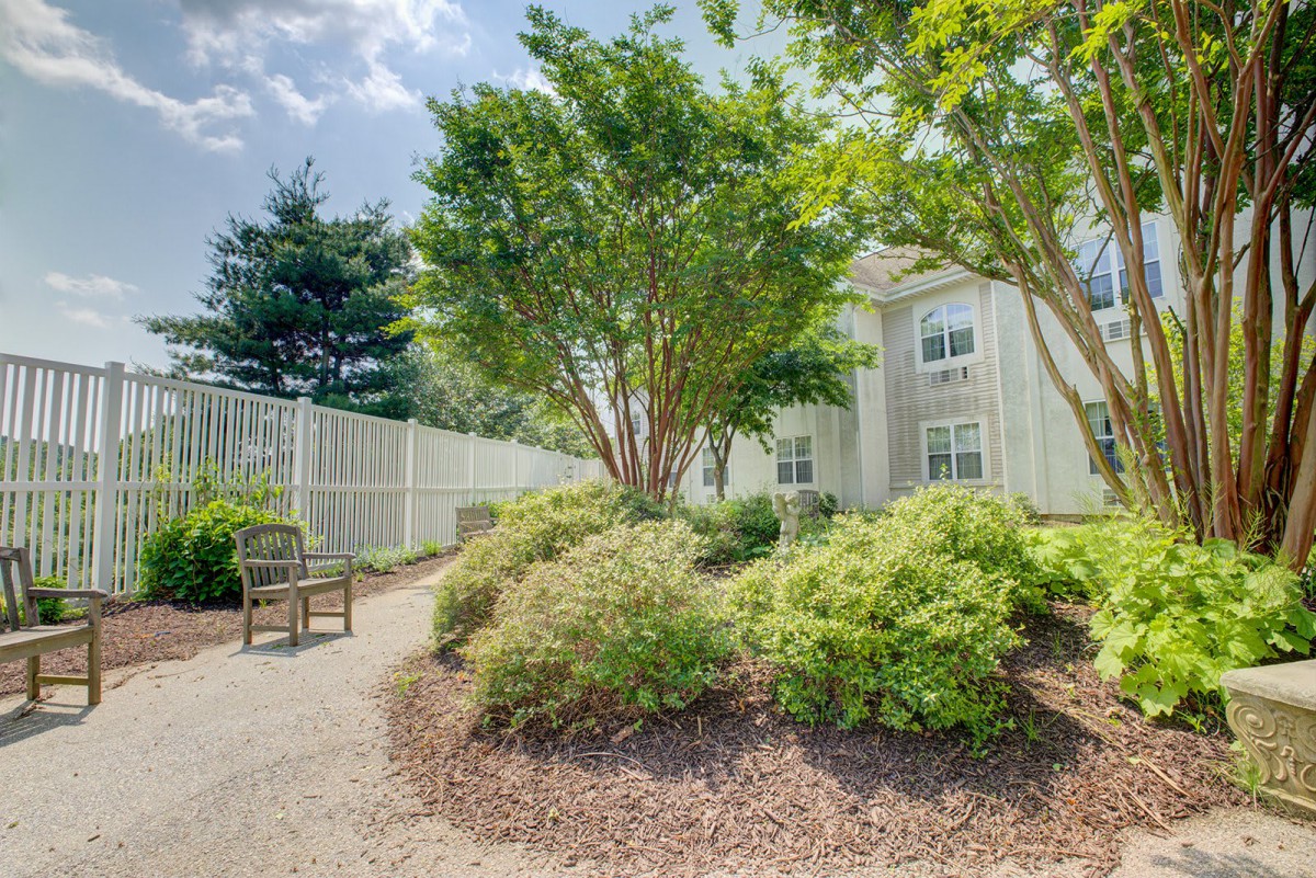A peaceful garden pathway lined with trees and shrubs next to a building on a sunny day.