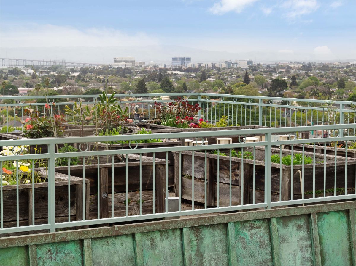 A rooftop garden overlooking an urban cityscape, with various plants and greenery thriving in the space.